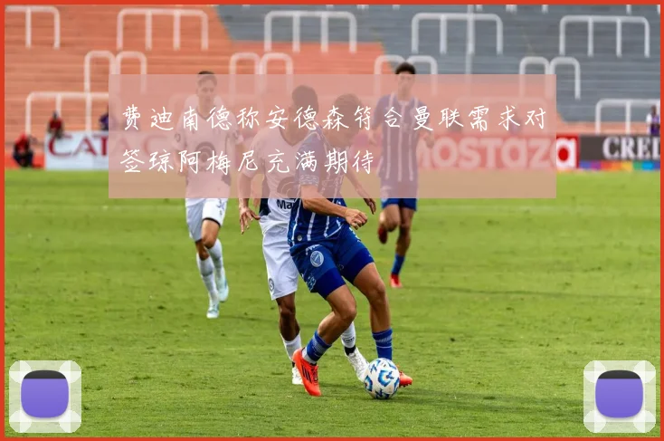 费迪南德称安德森符合曼联需求对签琼阿梅尼充满期待